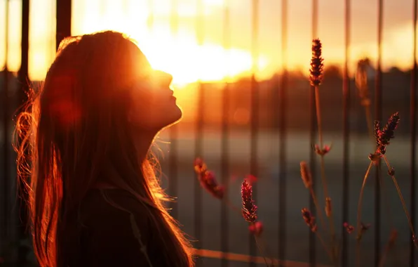 Girl, light, background