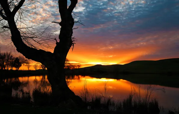 The sky, trees, hills, shore, Sunset, pond