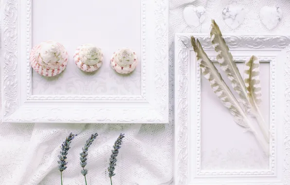 White, feathers, shell, lavender, frame