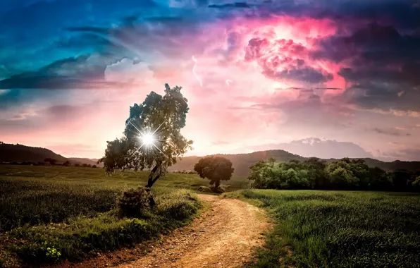 Road, summer, morning, Catalonia