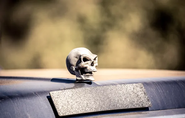 Metal, vehicle, chest ornament