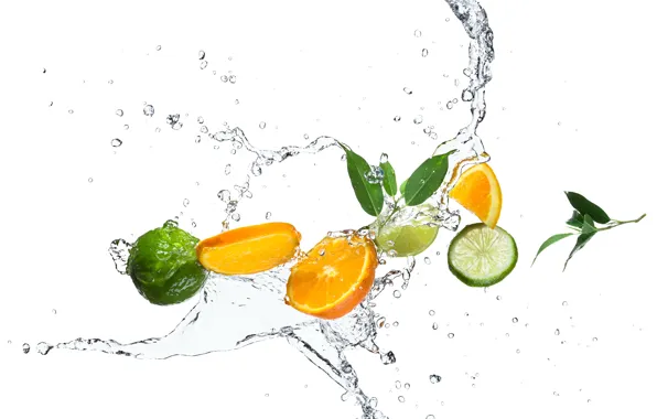 Picture water, drops, squirt, orange, lime, citrus, leaves, slices