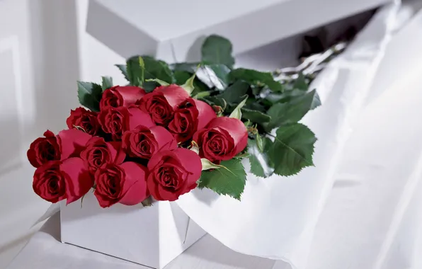 Picture flowers, gift, roses