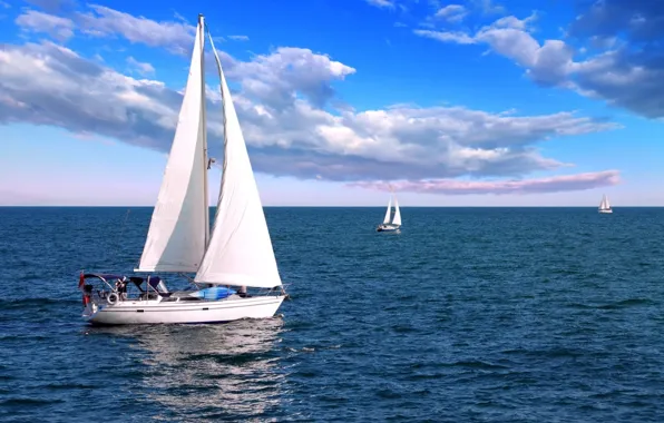 Picture sea, boat, sail