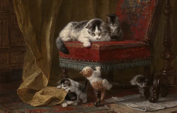 Cat, paint, picture, chair, kittens, kids, play, kitten