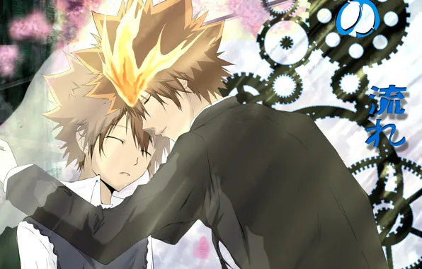 Reflection, guy, Katekyo Hitman reborn, Teacher mafia Reborn, Sawada Tsuyoshi