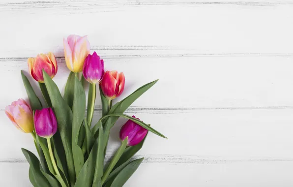 Flowers, colorful, tulips, pink, wood, pink, flowers, tulips