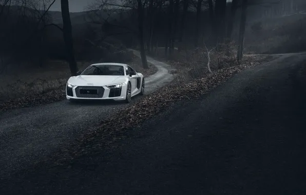 Picture Audi, Road, V10, More, Forest, R8