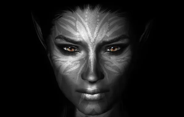 Picture girl, face, the dark background, coloring, Skyrim