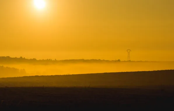 Field, landscape, sunset, fog