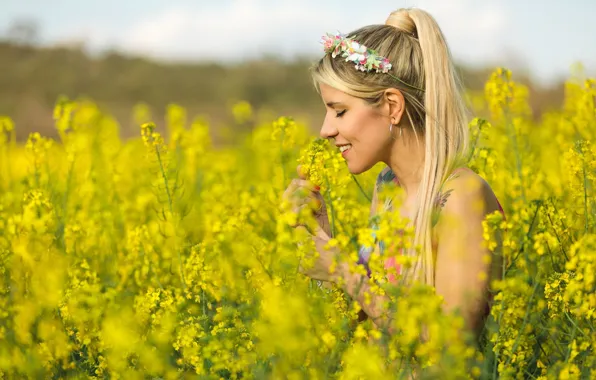 Picture field, girl, flowers
