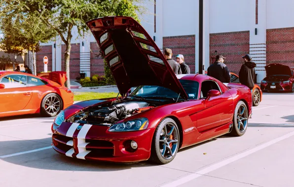 Car, machine, auto, red, Wallpaper, the hood, car, Dodge