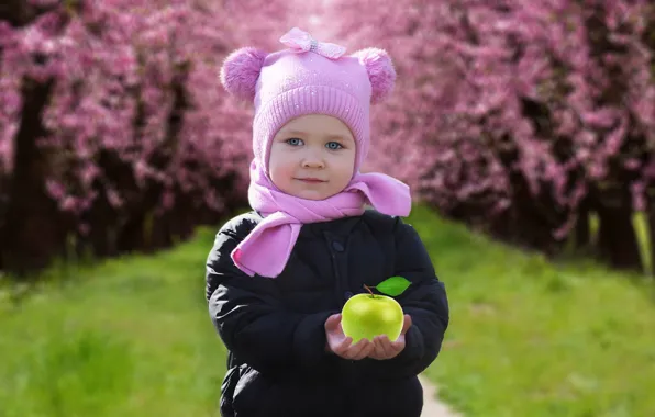 Background, Apple, child, spring, girl
