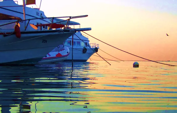 Picture sea, wave, yacht, morning.