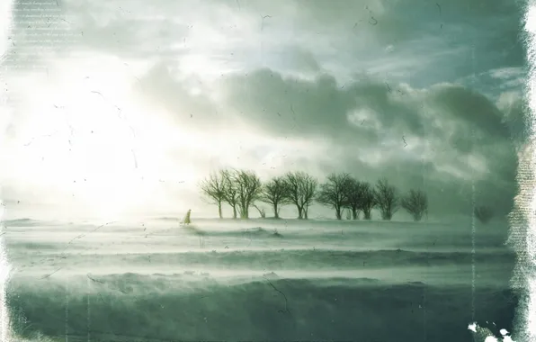 Winter, sadness, trees, Treatment
