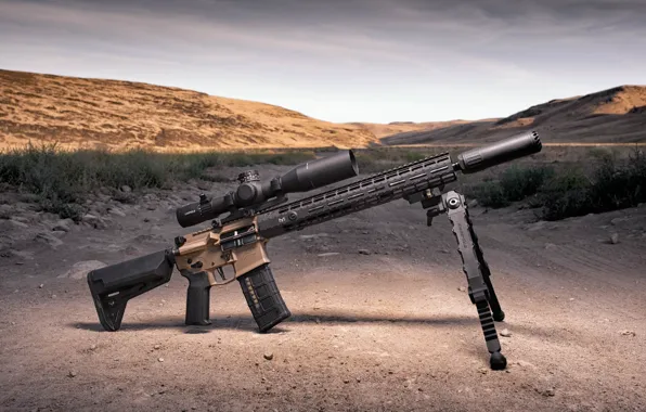 Weapons, optics, carabiner, assault rifle, fry