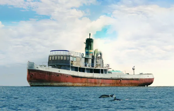 Retro, seagulls, tug, dolphins, SP-10, steam