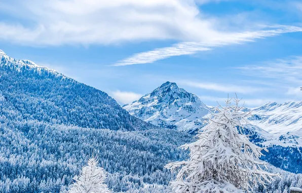 Winter, frost, forest, the sky, clouds, snow, mountains, branches