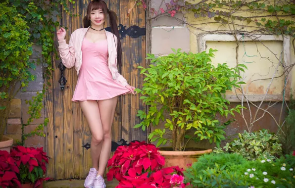 Picture girl, face, smile, hair, dress, legs