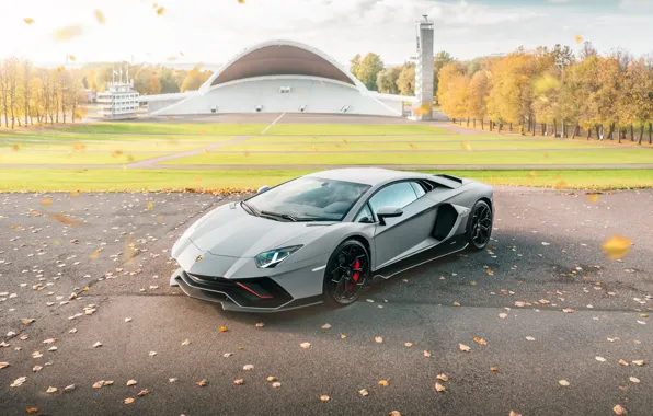 Lamborghini, Grey, Supercar, Grey, Aventador, Supercar, 2021, Ultimae