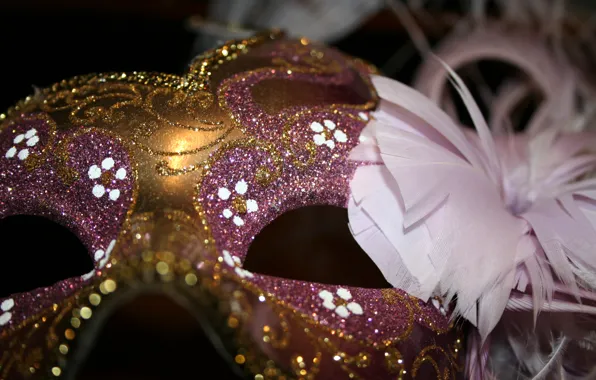 Picture macro, feathers, sequins, mask