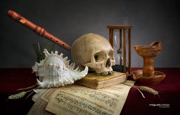 Notes, skull, shell, spikelets, book, still life, flute, hourglass