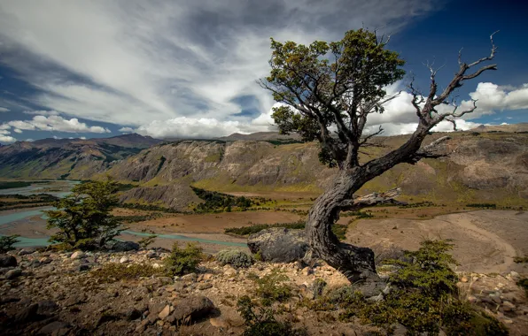 Trees, landscape, mountains, nature, river, landscape, beauty