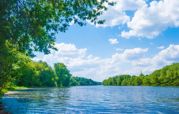 Sea, the sky, clouds, trees, landscape, nature, lake, sky