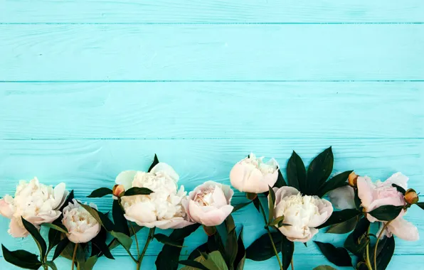 Flowers, pink, wood, pink, flowers, peonies, peonies