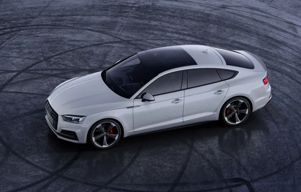 Audi, top, Audi A5, 2019, S5 Sportback