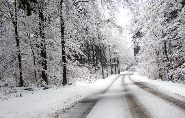 Winter, road, forest, snow, overcast, turn, the distance