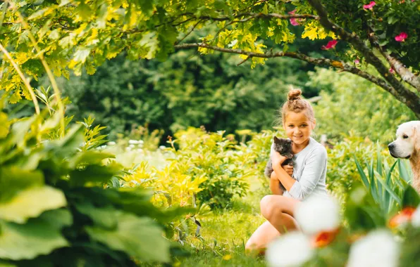 Picture nature, mood, dog, girl, kitty, friends