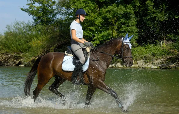 Greens, summer, water, girl, the sun, trees, squirt, horse