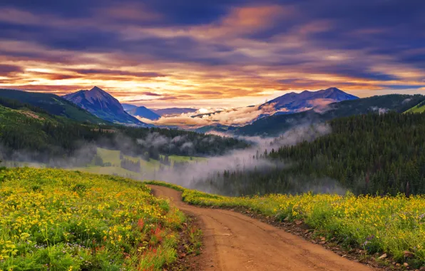 Road, grass, flowers, mountains, fog, dawn, valley, forest