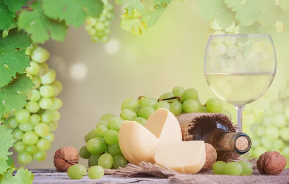 Picture leaves, table, wine, white, glass, bottle, cheese, grapes