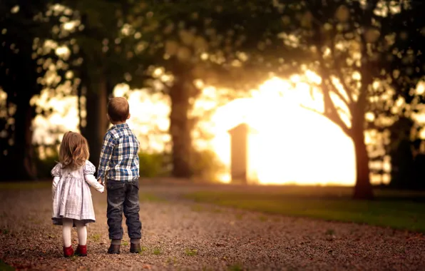 Road, light, children