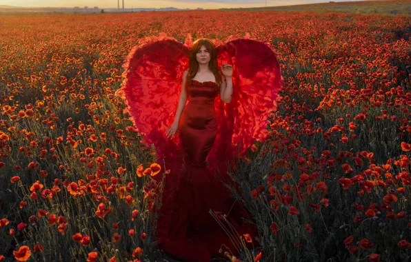 Field, summer, girl, light, style, Maki, wings, angel