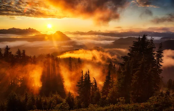 Picture the sky, the sun, clouds, rays, trees, sunset, mountains