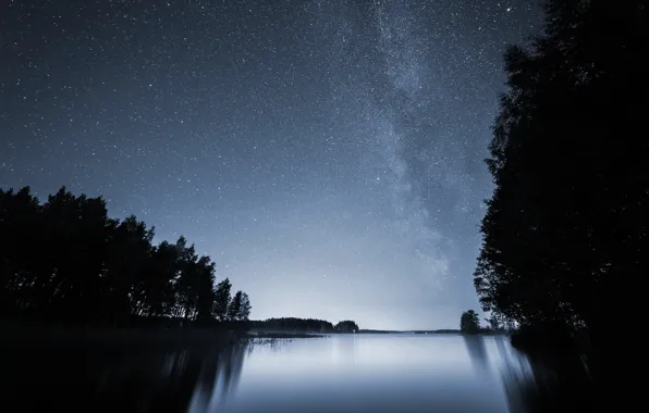 Forest, stars, night, lake, the milky way