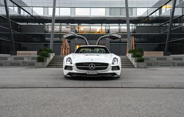 Mercedes-Benz, Mercedes, AMG, SLS, 2013, Mercedes-Benz SLS AMG Black Series