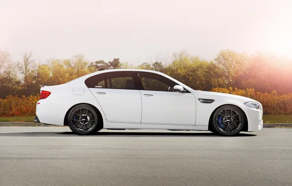 Picture road, white, the sky, trees, bmw, BMW, wheels, drives