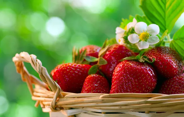 Basket, strawberry, flowers, bokeh