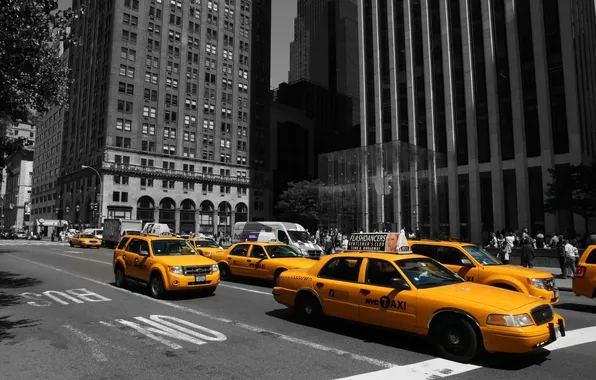 The city, USA, America, USA, NYC, New York City, new York, Apple Store