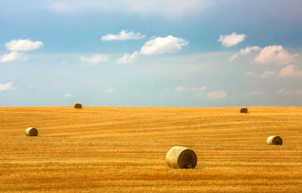 Picture the sky, clouds, field, harvest, hay, solar, farm