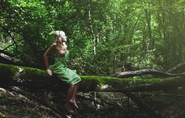 Forest, chest, look, the sun, tree, dress, legs, beauty