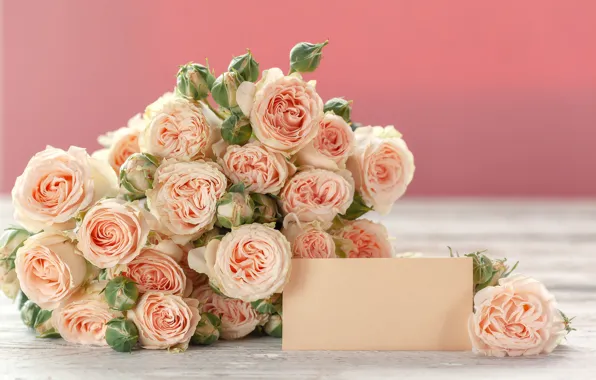 Picture roses, bouquet, gentle, beautiful