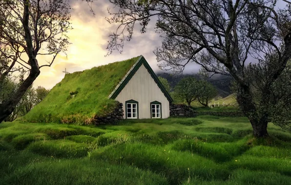 Picture nature, Iceland, Church Litla Hof