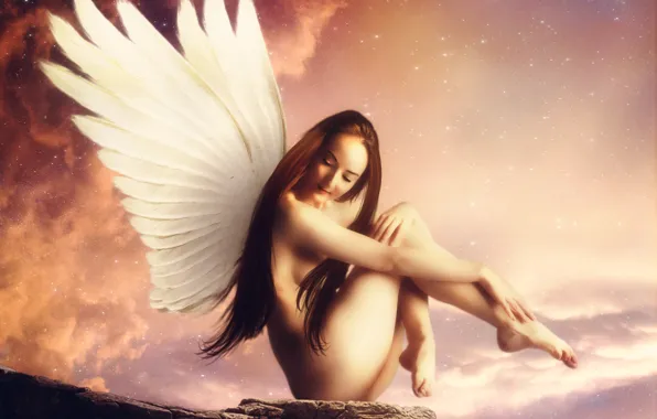 The sky, girl, stars, pose, wings, angel