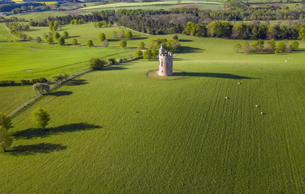 Field, landscape, Hurlestone Tower