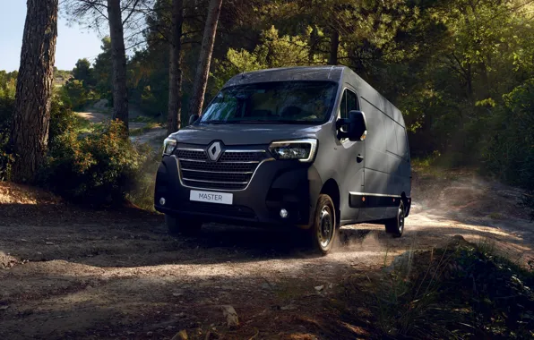 Forest, Renault, van, Master, 2019, the coroner van